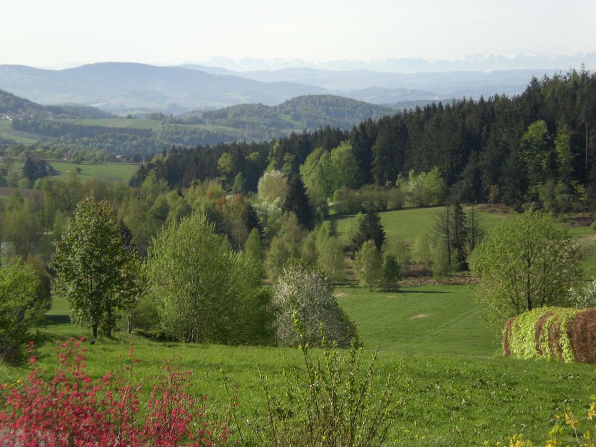Ferienwohnungen Pichler Hohenau Экстерьер фото